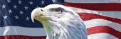 Eagle and Flag